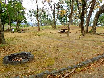 入野松原キャンプ場のサイト全景