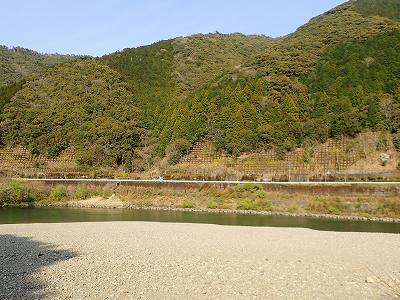 Shimanto-gawa River in Iwama campsite