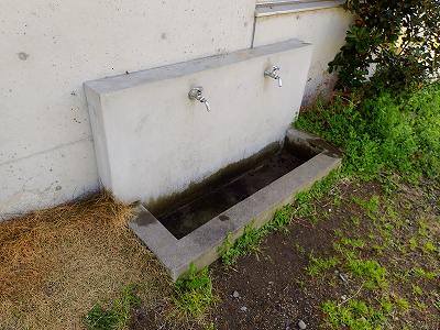 咸陽島公園の足洗い場