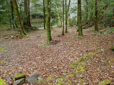 久木ノ森山風景林のテントサイト２