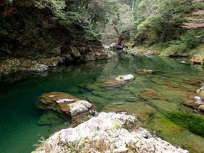 久木ノ森山風景林の前を流れる中津川