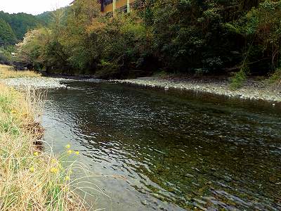 桑の川キャンプ場の前を流れる新荘川