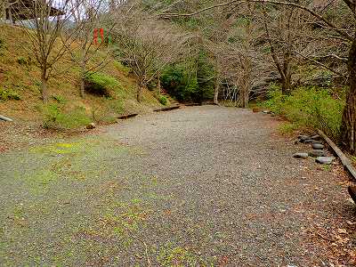 松葉川林間キャンプ場のサイト全景