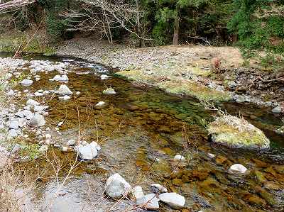 松葉川林間キャンプ場の前を流れる松葉川