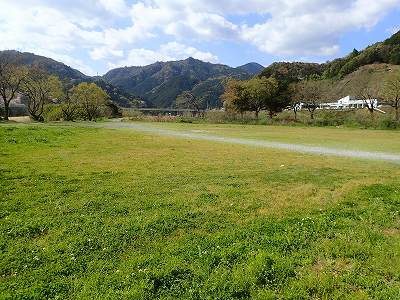 宮の前公園キャンプ場のサイト全景
