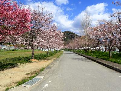 2019年 3月の宮の前公園キャンプ場