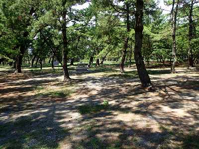 View of Tanezaki sensho-koen campsite