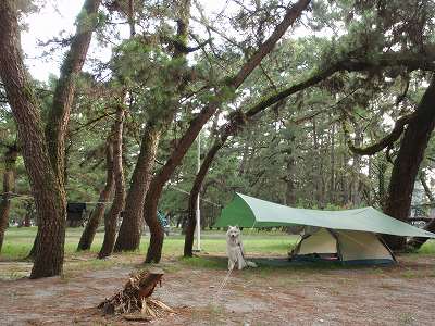 2010-Aug. Tanezaki sensho-koen campsite