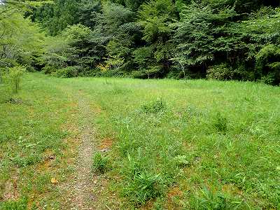 轟の滝キャンプ場（旧）のサイト全景