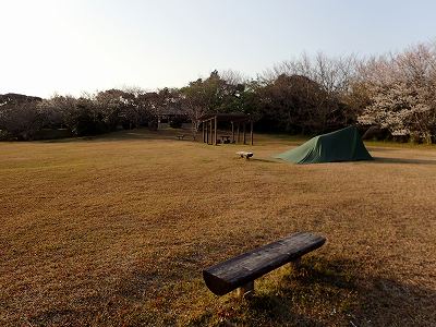 唐人駄場公園のサイト全景