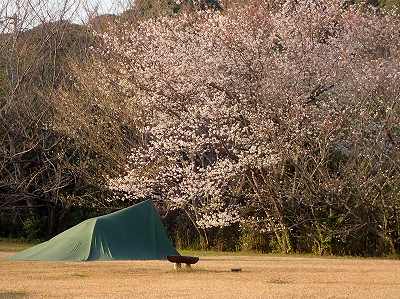 2019年 3月の唐人駄場公園