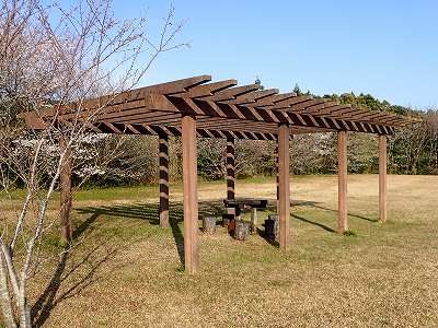 唐人駄場公園の藤棚