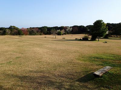 唐人駄場公園の全景