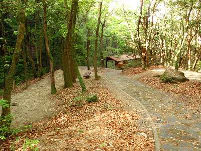 自然公園丸山キャンプ場のテントサイト全景