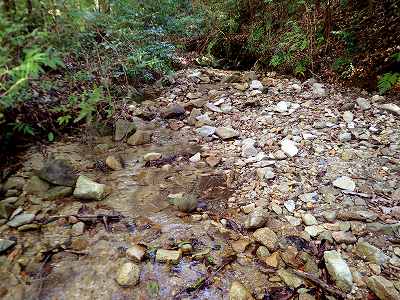 自然公園丸山キャンプ場　2008年5月の情報