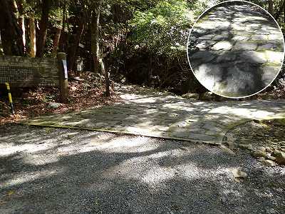 自然公園丸山キャンプ場のテントサイトへの分岐