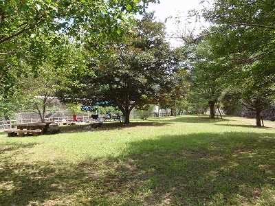 白岩戸公園のサイト全景