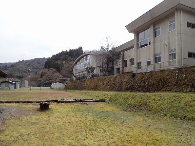 小崎小学校下にある野営場