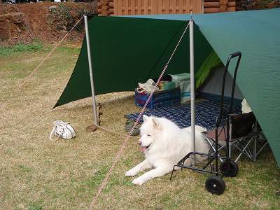 石原岳森林公園キャンプ