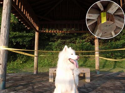 隠居岳ウォーカーズパークキャンプ場の展望台