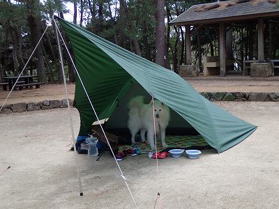 Kushimazaki campsite