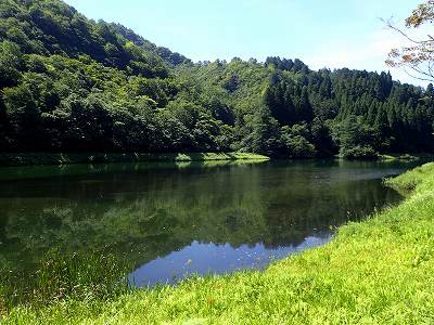 粟ヶ岳県民休養地キャンプ場の前にある池
