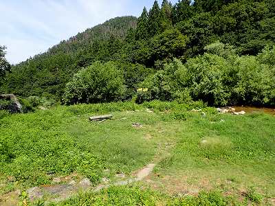 奥村杉キャンプ場のサイト全景