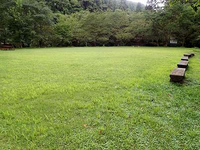 大沢森林公園キャンプ場のサイト全景