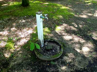 弥彦城山森林公園キャンプ場の立水栓