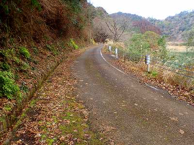 Lake road in front of Ishiba-dam campsite