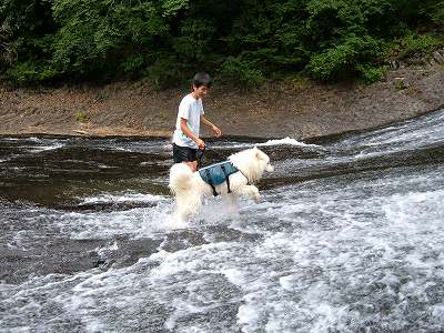 Ryumon-no-taki campsite 2