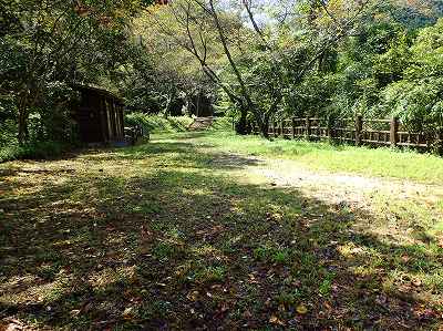 2019-Sept. in Tottoriike-ryokuchi Sakura-no-sono