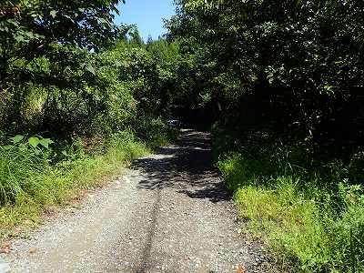 Way to the campsite in Tottoriike-ryokuchi Sakura-no-sono