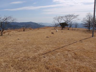 View of Mayu-yama campsite