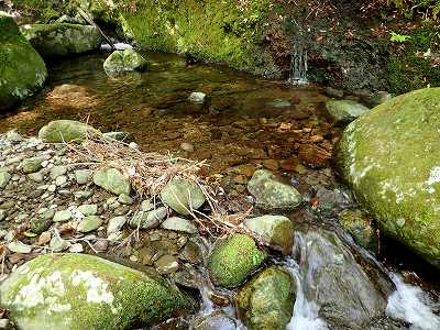 Mountain stream in Okuhiratani campsite
