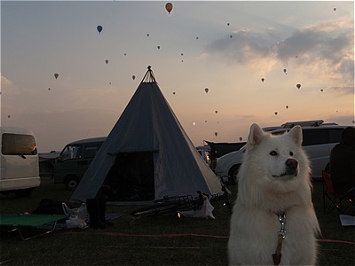 2010 Saga balloon festival special auto campsite