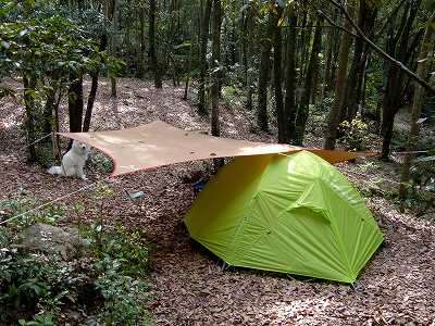 山間のキャンプ場