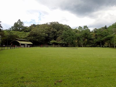 Shizuoka kenritsu shinrin-koen campsite