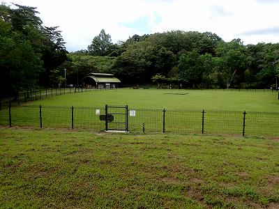 View of Shizuoka kenritsu shinrin-koen campsite