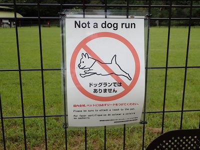 Fence in Shizuoka kenritsu shinrin-koen campsite
