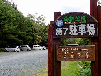 Parking lot in Shizuoka kenritsu shinrin-koen campsite