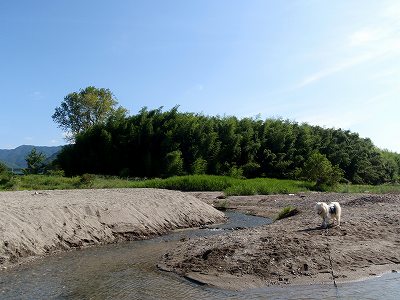 2010年 8月の美濃田の淵キャンプ村