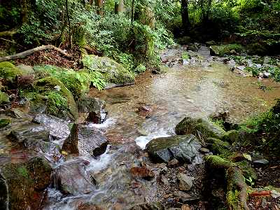 日影沢キャンプ場の脇を流れる日影沢
