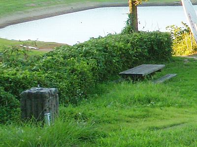 大山池キャンプ場の立水栓