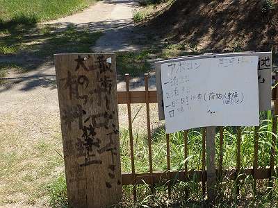 View of Uno campsite