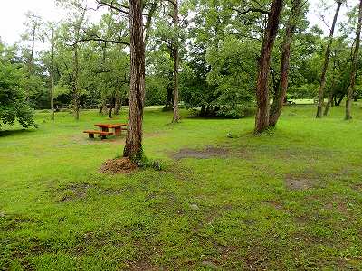 墓の木自然公園キャンプ場のサイト全景