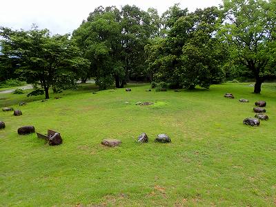 墓の木自然公園キャンプ場の焚き火サークル