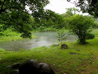 墓の木自然公園キャンプ場の前を流れる小川
