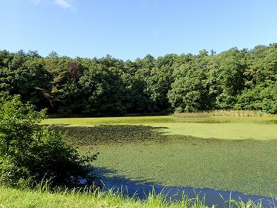 Pond in Nishizao-koen campsite