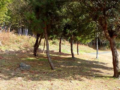 長田海浜公園のサイト全景
